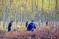 Policjanci przeszukują las