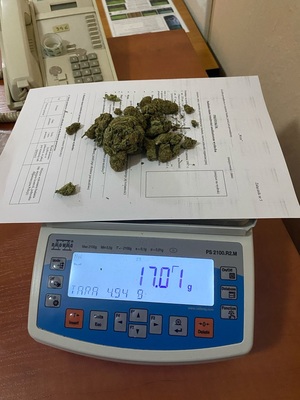 Na zdjęciu waga i marihuana - wskazanie wagi 17, 1 gramów.